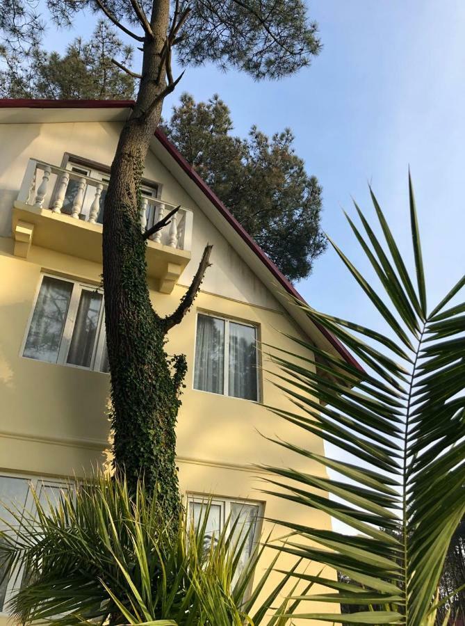 Kaprovani Villa 22 Shekhvetili Exterior foto